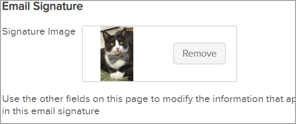 email signature image.png