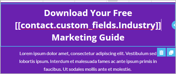 MergeCustFieldsEmail3.png